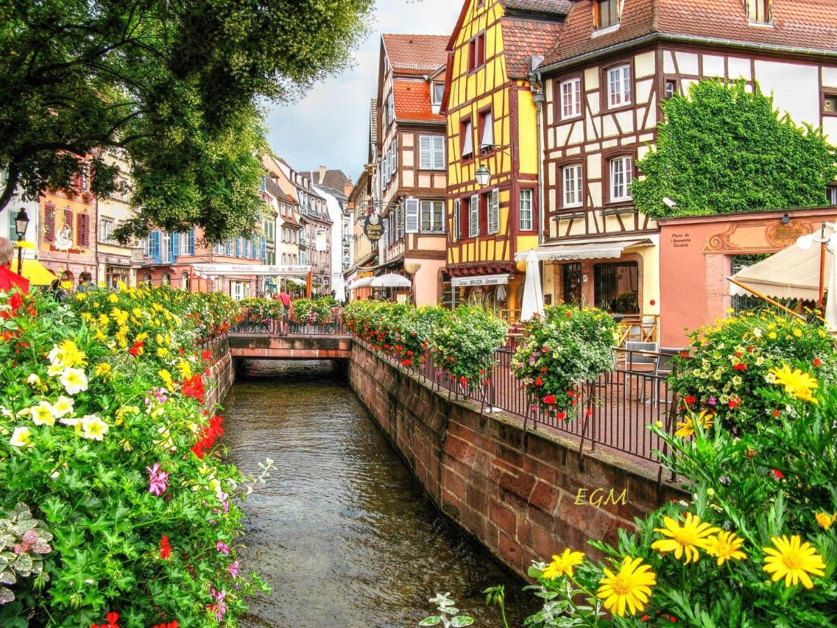 Magnifique Gite Le Clos Des Pierres Route Des Vins D'Alsace Beblenheim Kültér fotó